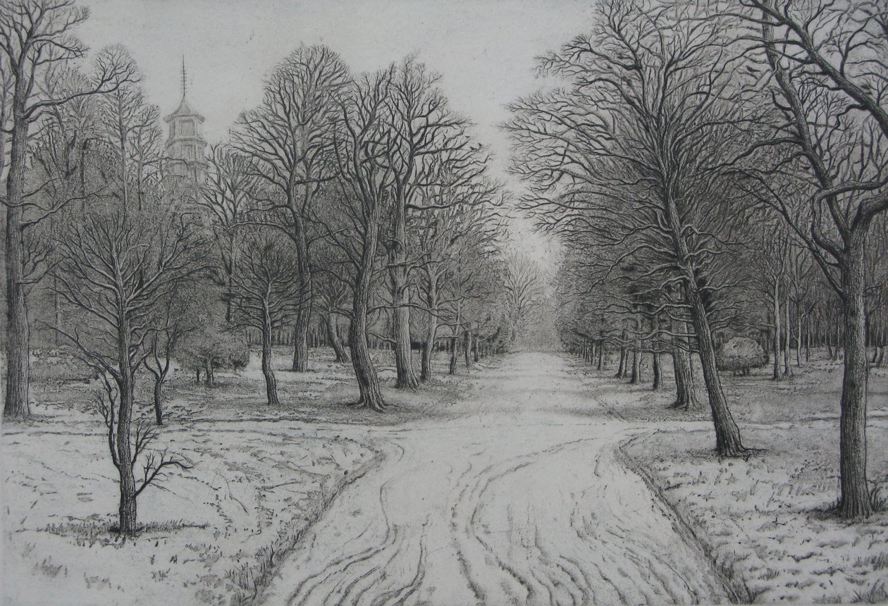 Kew Gardens in inverno da Peter A Ford