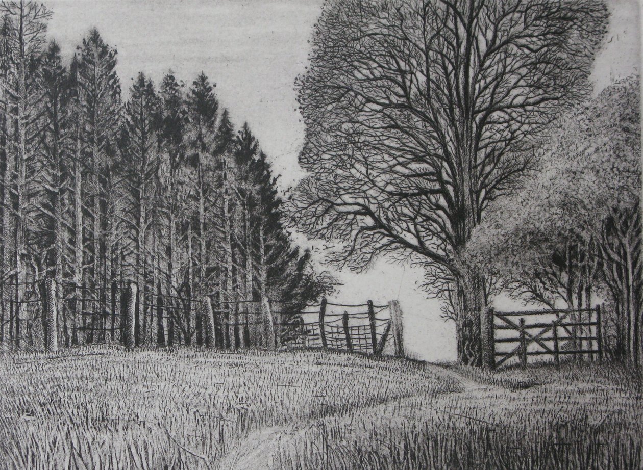 Il sentiero del bosco - Primavera da Peter A Ford