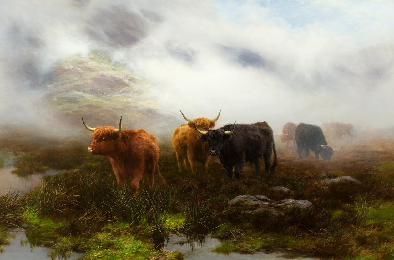 Brughiera e nebbia da Peter Graham