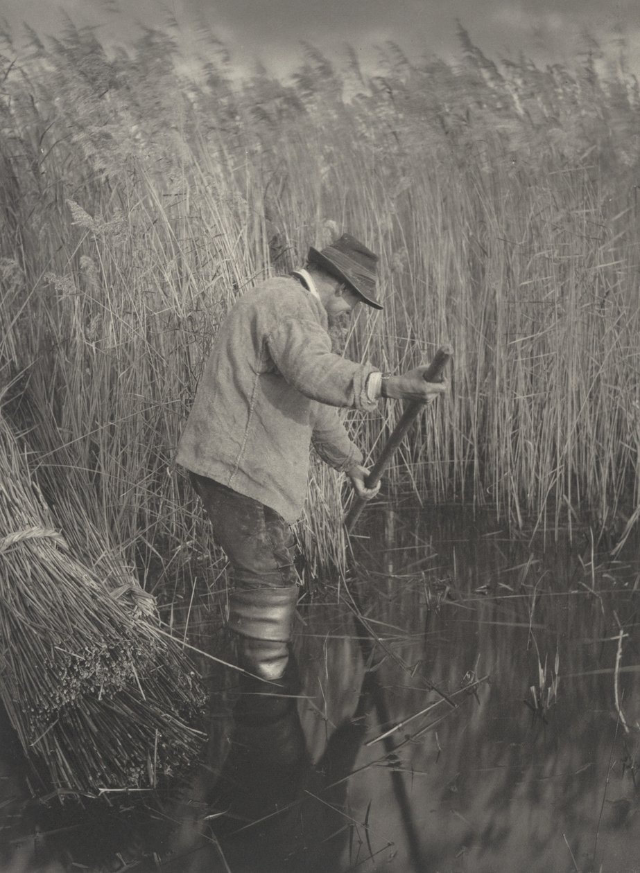 Un tagliatore di canne al lavoro, 1886 da Peter Henry Emerson, Thomas Frederick Goodall