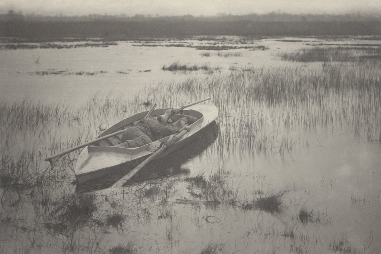 Cacciatore che lavora fino agli uccelli da Peter Henry Emerson, Thomas Frederick Goodall