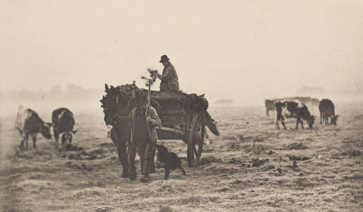 Una Mattina Gelida, 1890-1891, stampato 1893 da Peter Henry Emerson