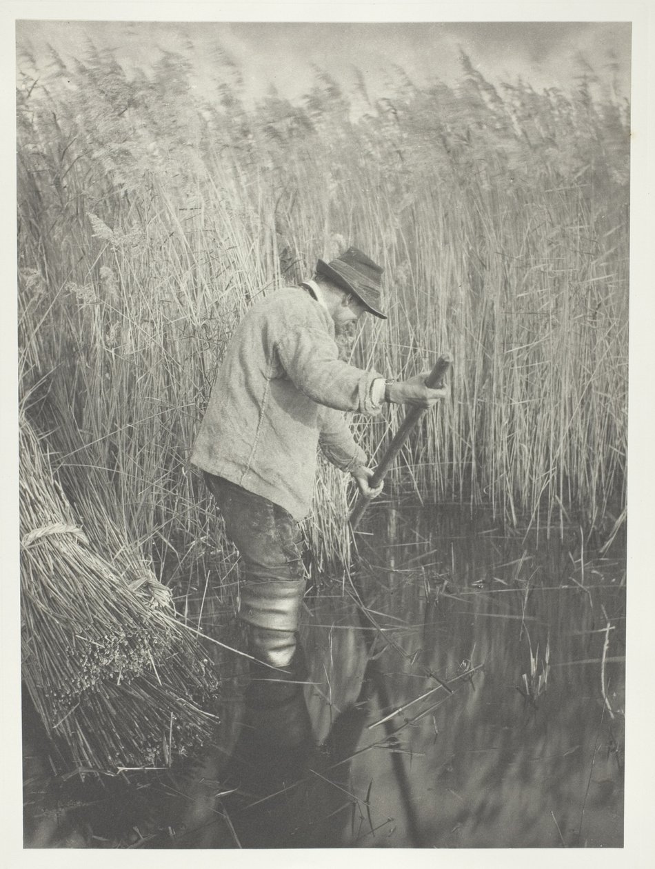 Un tagliatore di canne al lavoro da Peter Henry Emerson