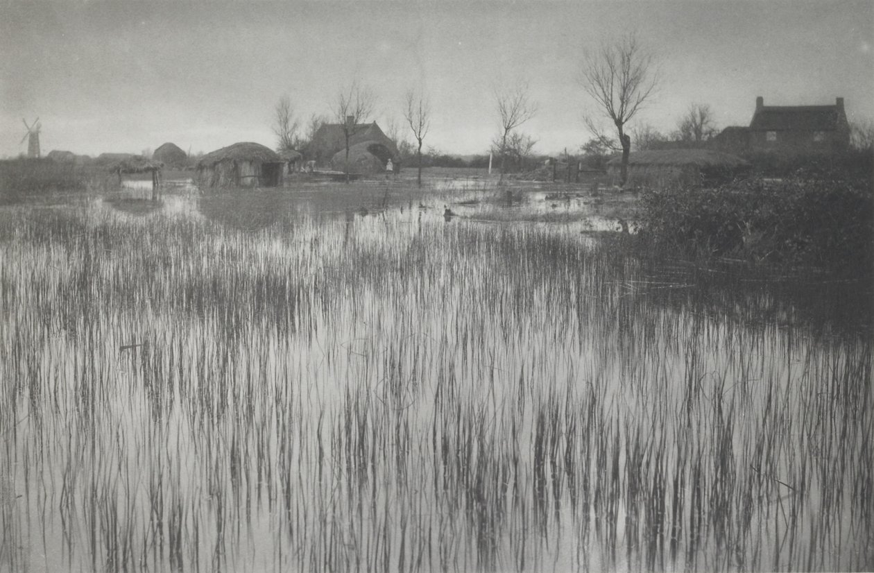Una costa lussureggiante da Peter Henry Emerson