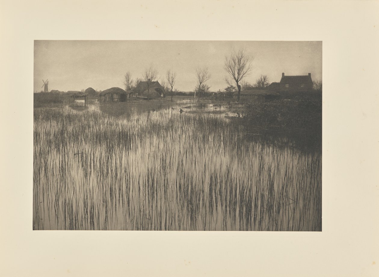 Una costa lussureggiante da Peter Henry Emerson