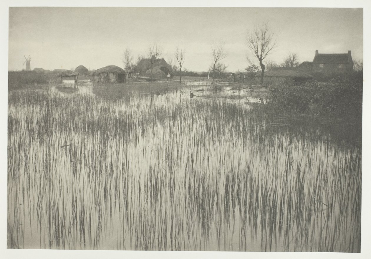 Una costa lussureggiante da Peter Henry Emerson
