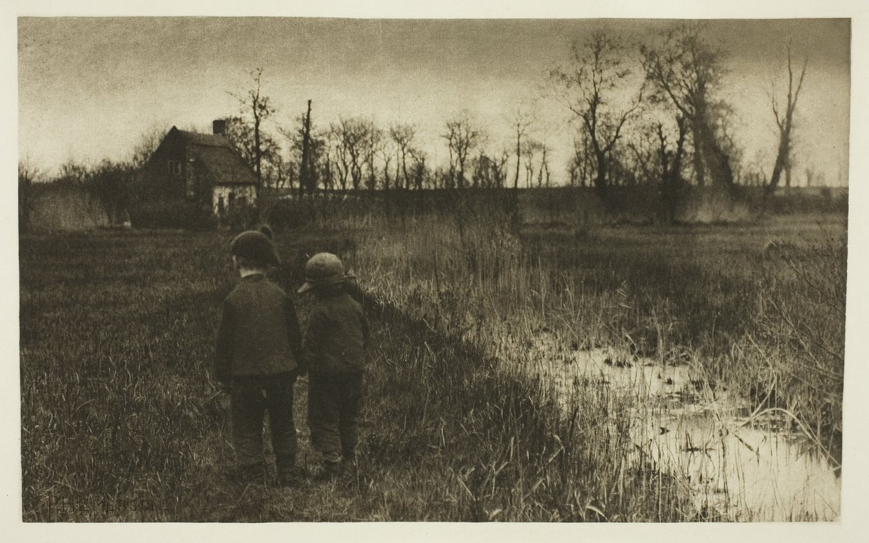 Un rospo sul sentiero: inizio primavera a Norfolk da Peter Henry Emerson