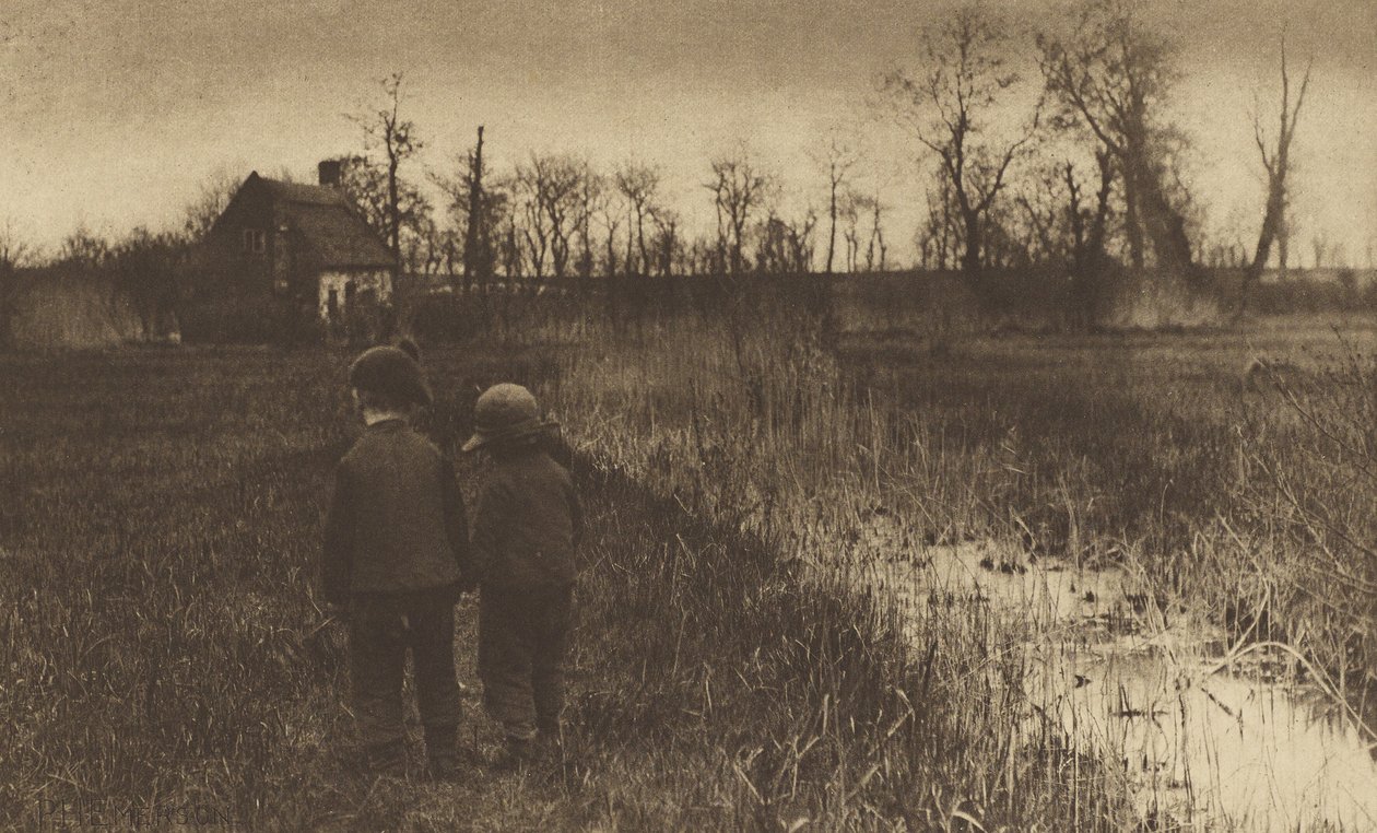 Un rospo sul sentiero: inizio della primavera nel Norfolk da Peter Henry Emerson