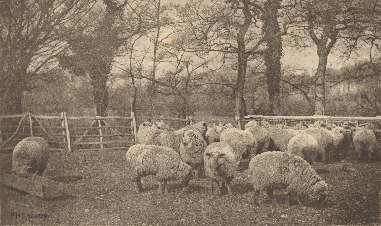 Una pastorale autunnale da Peter Henry Emerson