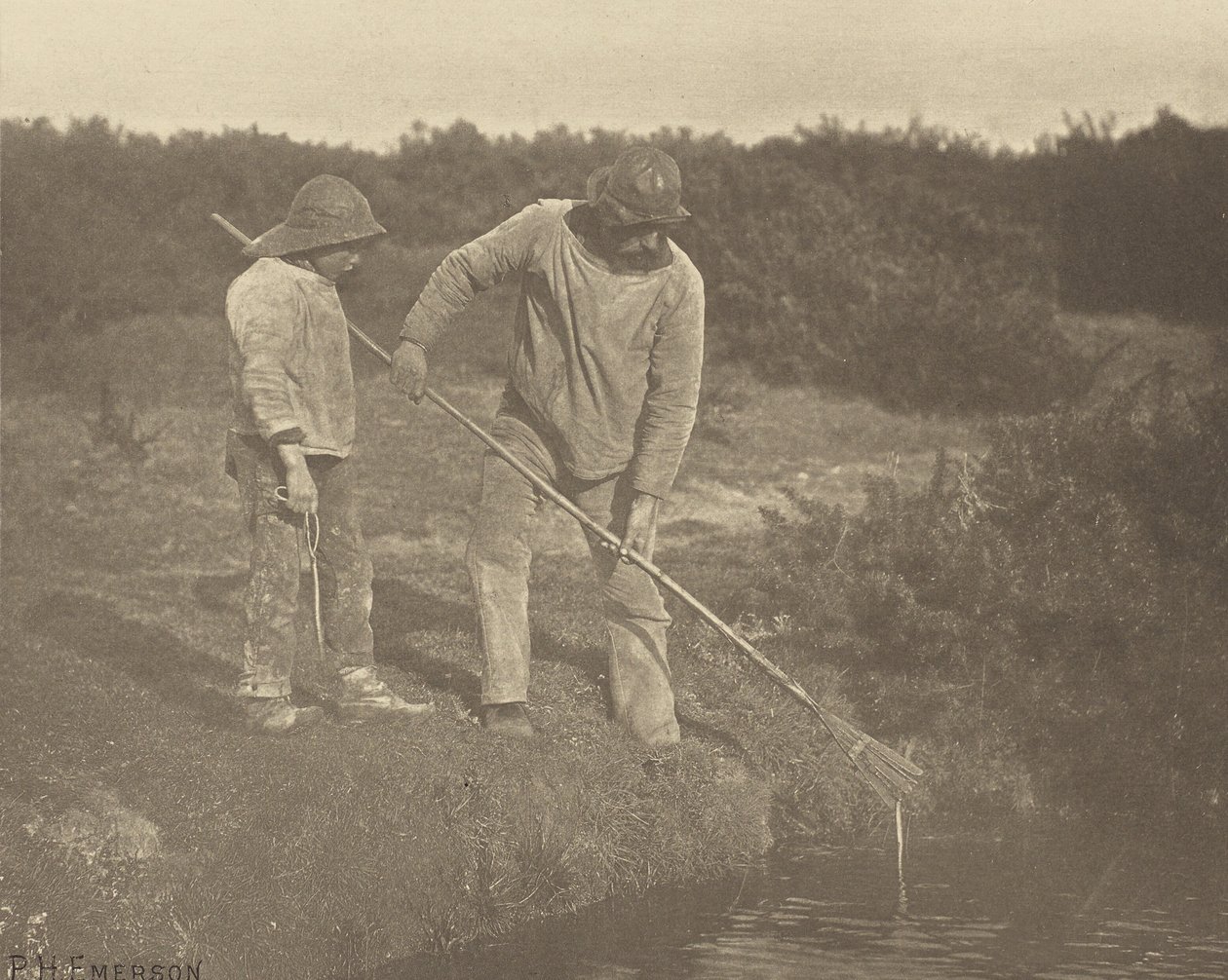 AnguillaPrelievo nelle acque del Suffolk da Peter Henry Emerson