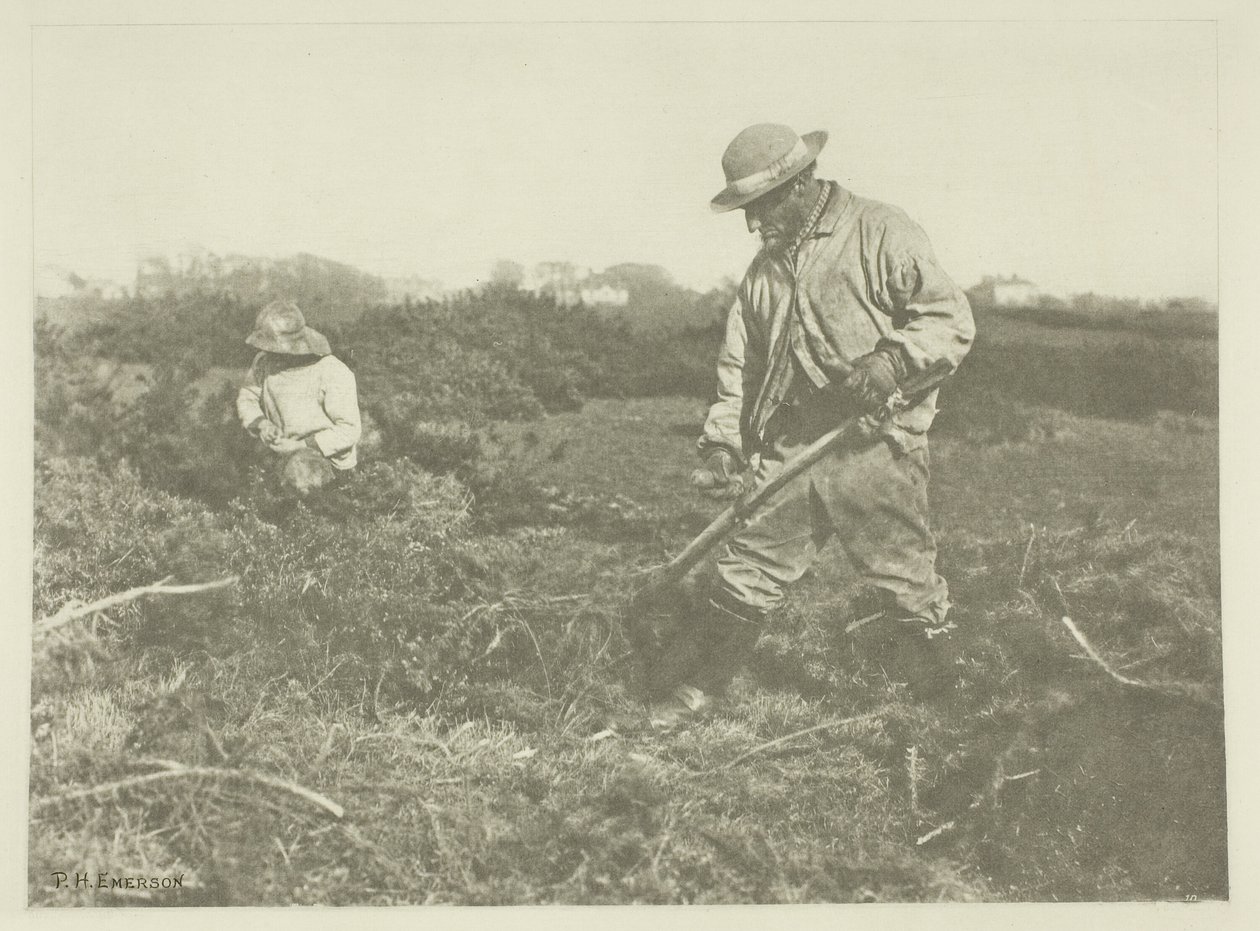 Taglio di ginestra su una comune del Suffolk da Peter Henry Emerson