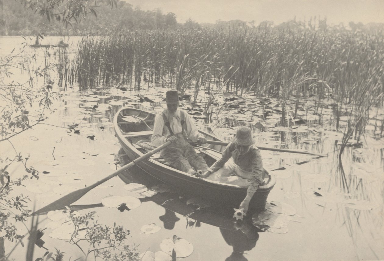 Raccolta di ninfee, 1886 (foto) da Peter Henry Emerson