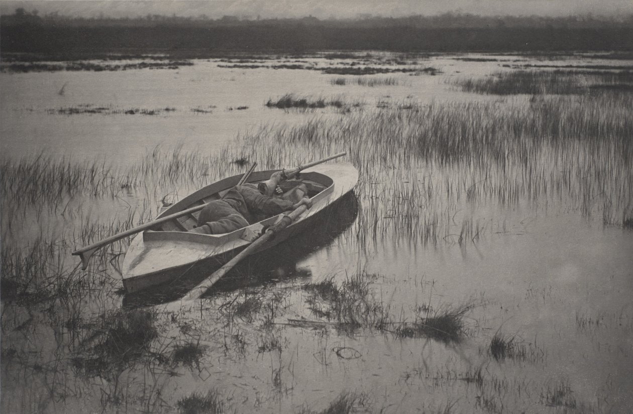 Cacciatore che lavora fino agli uccelli da Peter Henry Emerson