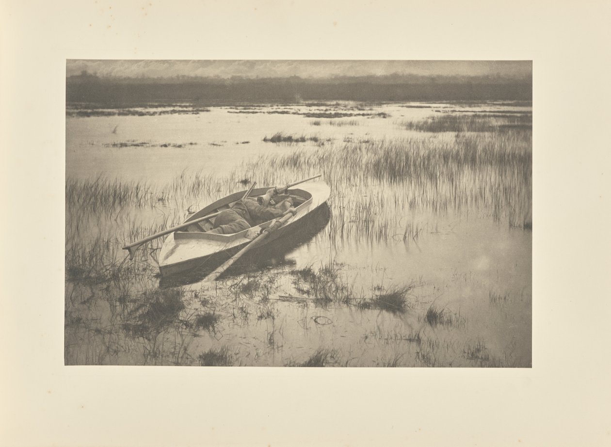 Cane da caccia che si avvicina al pollame da Peter Henry Emerson