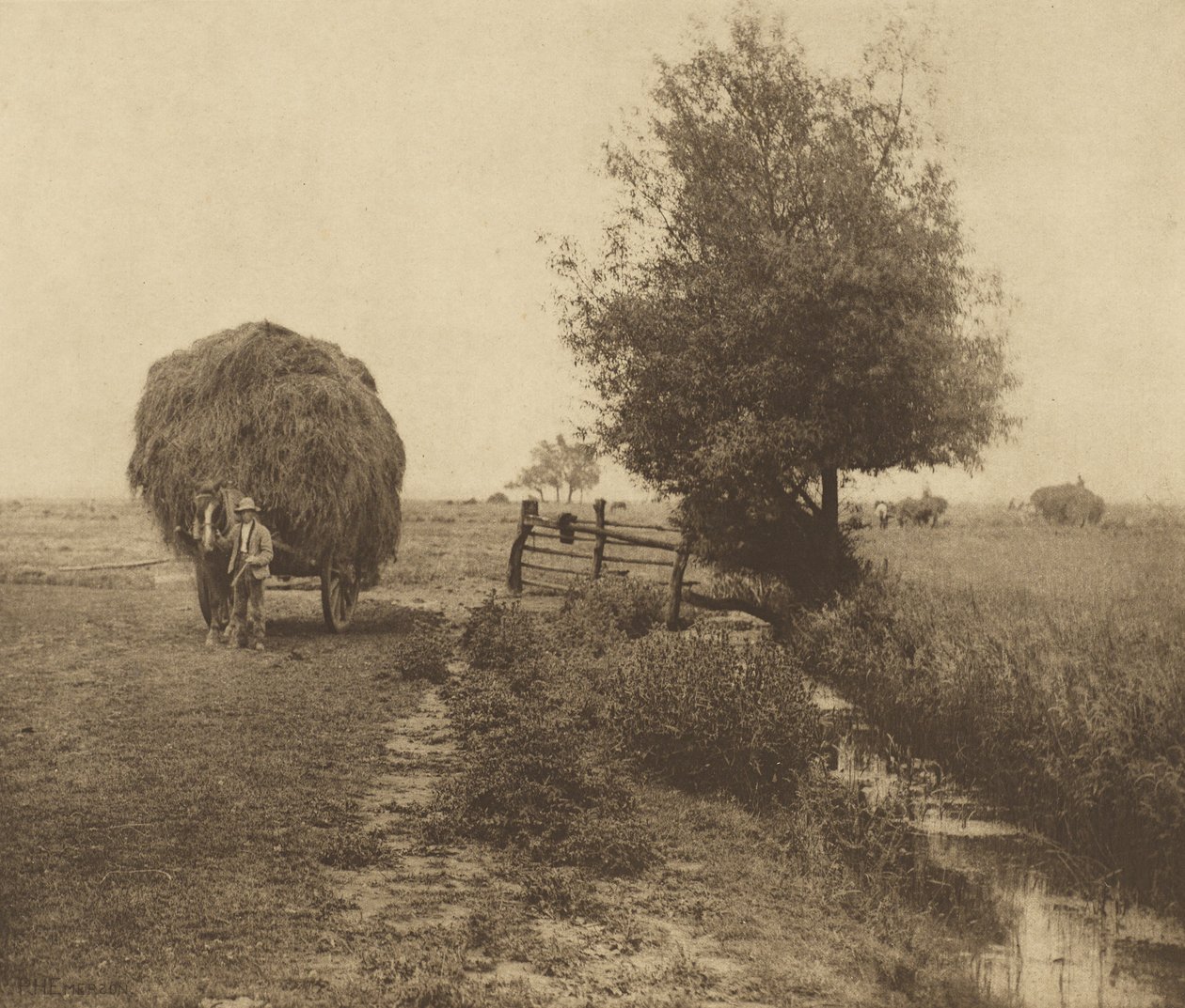Nel campo di fieno. [Norfolk.] da Peter Henry Emerson