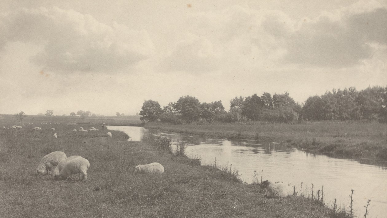 Sul fiume Bure, 1886 (foto) da Peter Henry Emerson