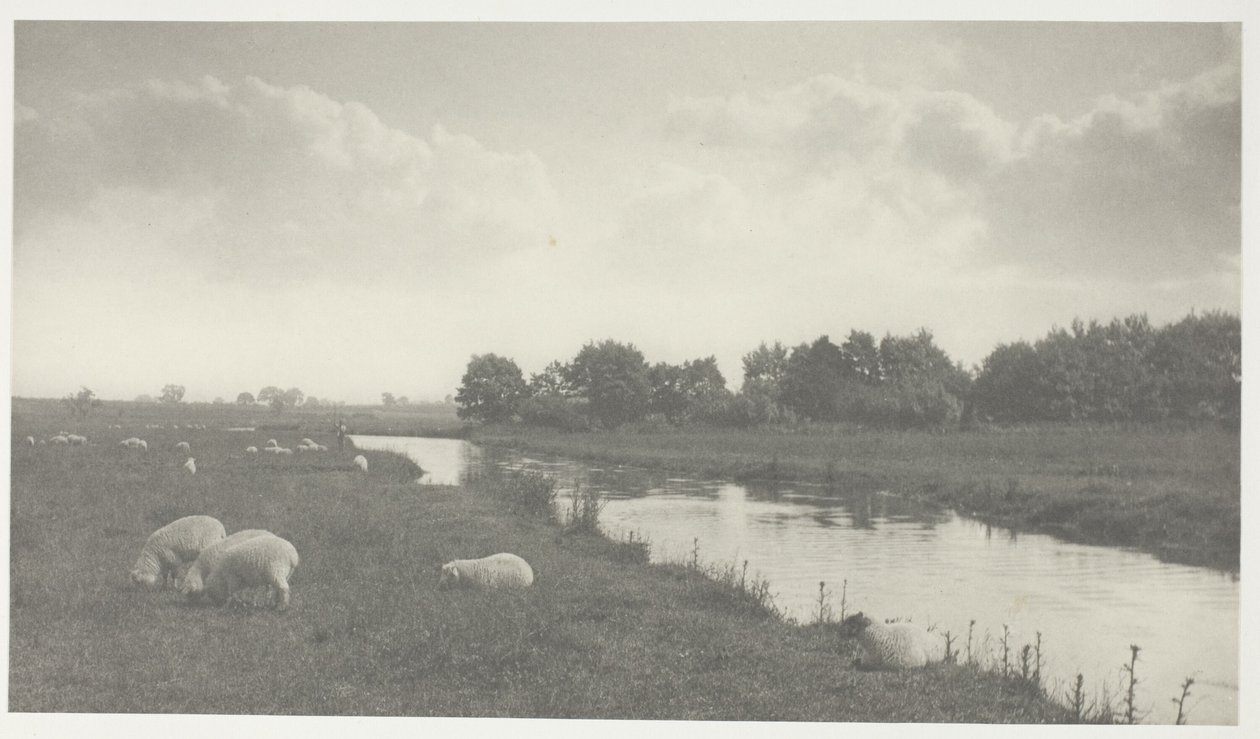 Sul fiume Bure da Peter Henry Emerson
