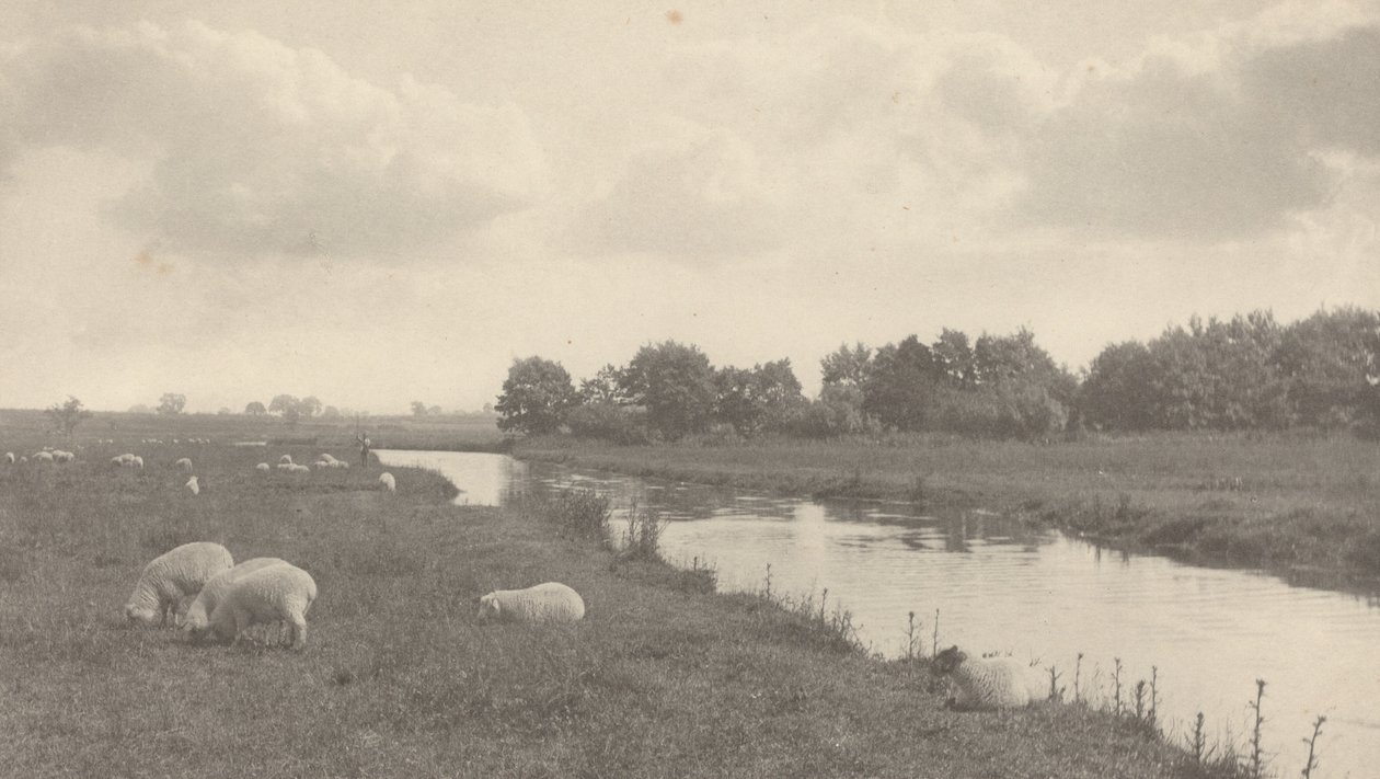 Sul fiume Bure, 1886 da Peter Henry Emerson