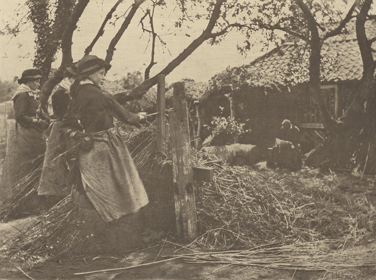 ViminiPeeling. [Norfolk]. da Peter Henry Emerson