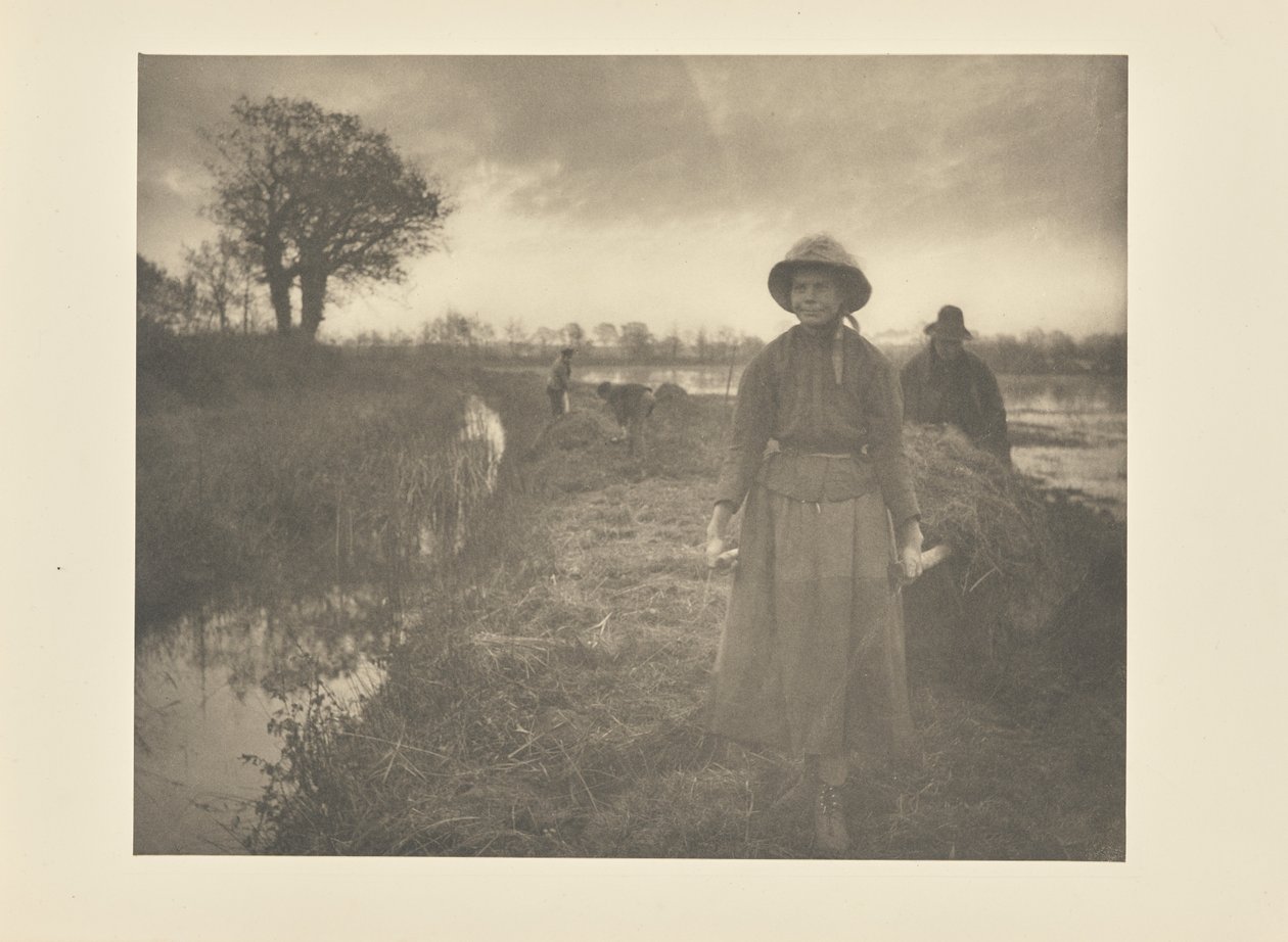 Raccolta del fieno nella palude da Peter Henry Emerson
