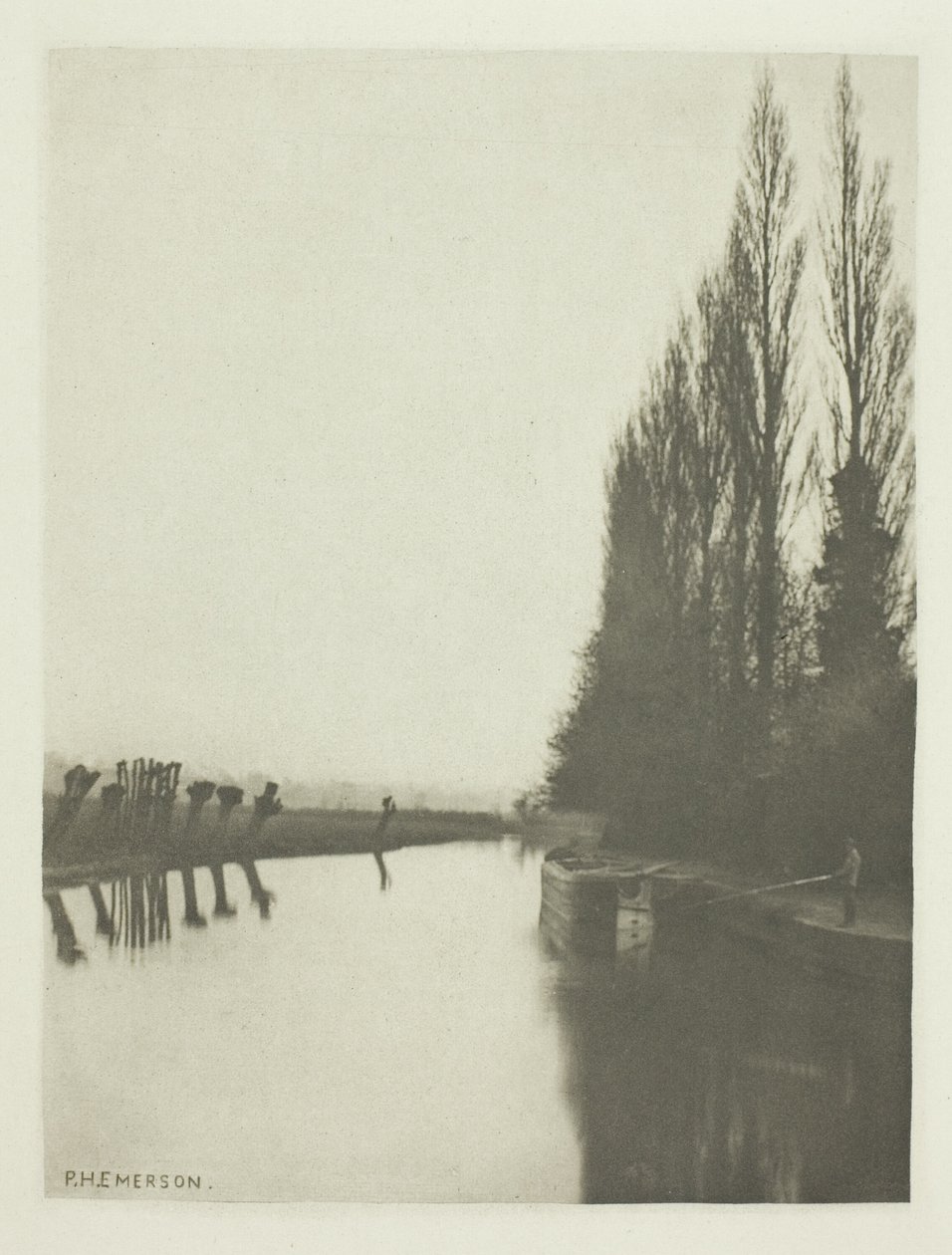 Pioppi e pollastri sul Lea, vicino a Broxbourne da Peter Henry Emerson