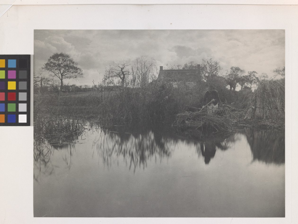 Quanting the Gladdon da Peter Henry Emerson