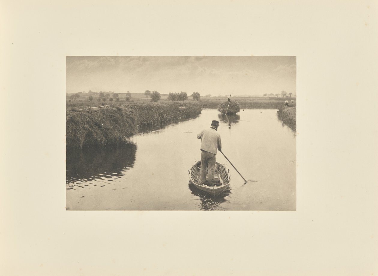 Quantificare il fieno di palude da Peter Henry Emerson