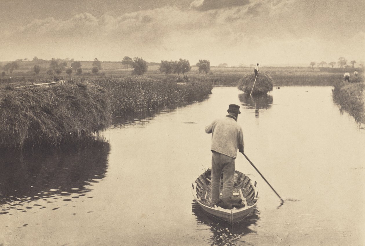 Quantificazione del fieno delle paludi da Peter Henry Emerson