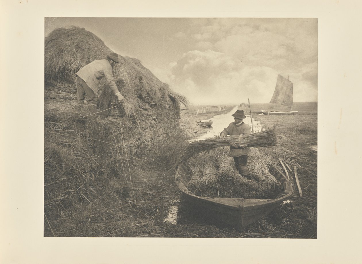 Ammucchiare le canne da Peter Henry Emerson