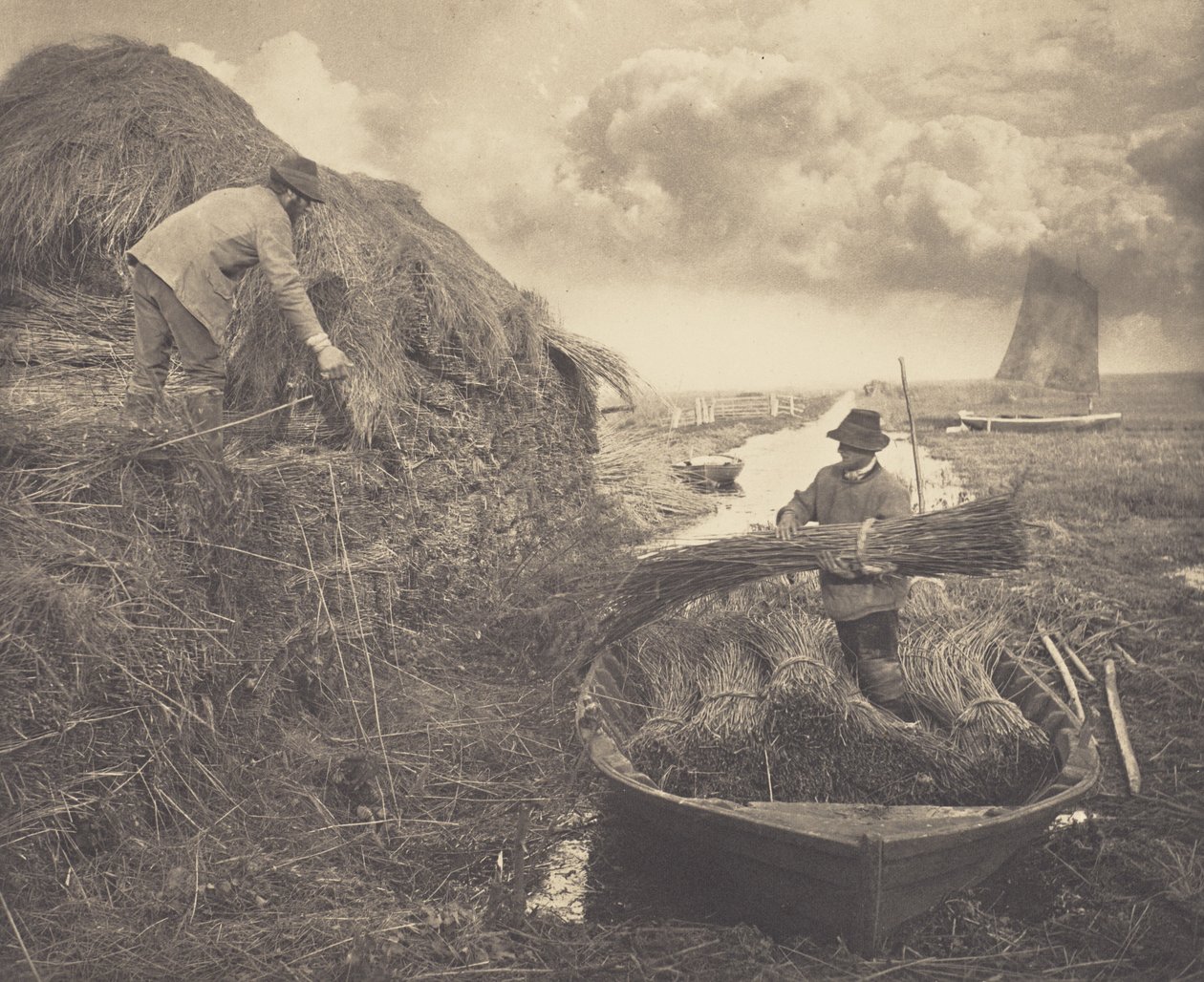Accatastare le canne da Peter Henry Emerson