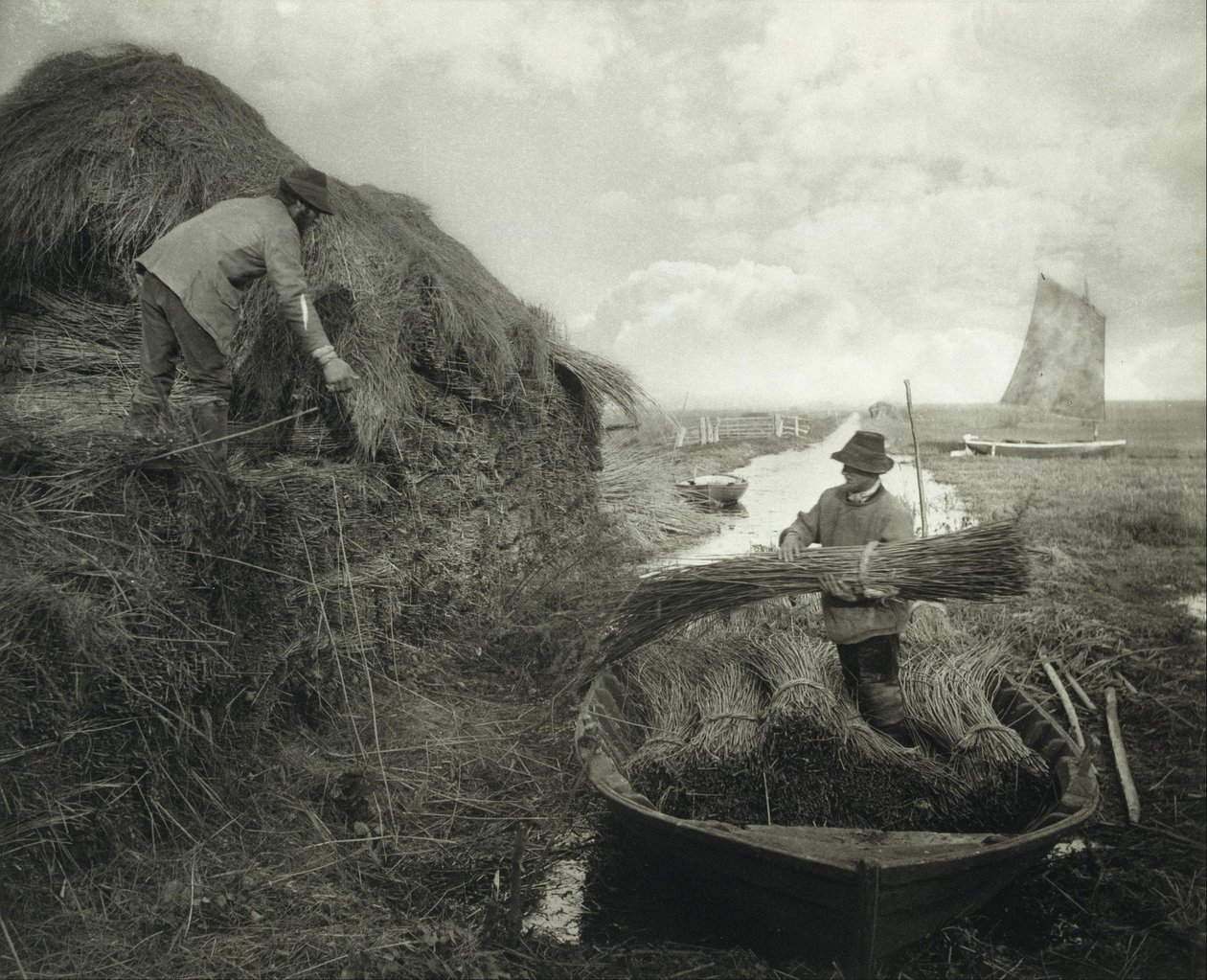 Ammucchiare le canne da Peter Henry Emerson