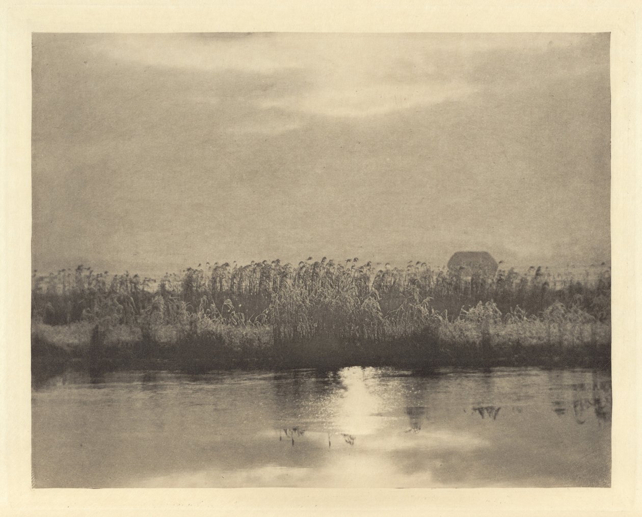 Cristalli di brina da Peter Henry Emerson