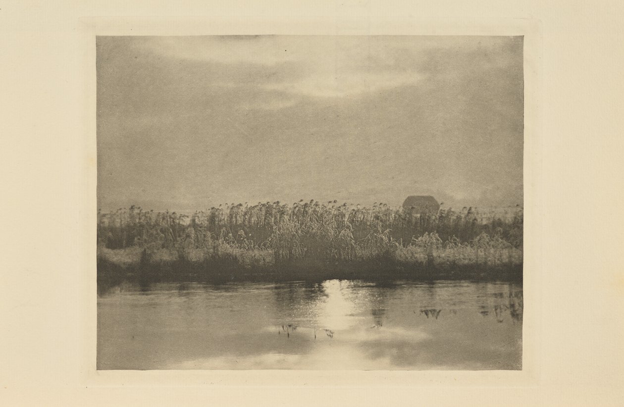 Cristalli di brina da Peter Henry Emerson
