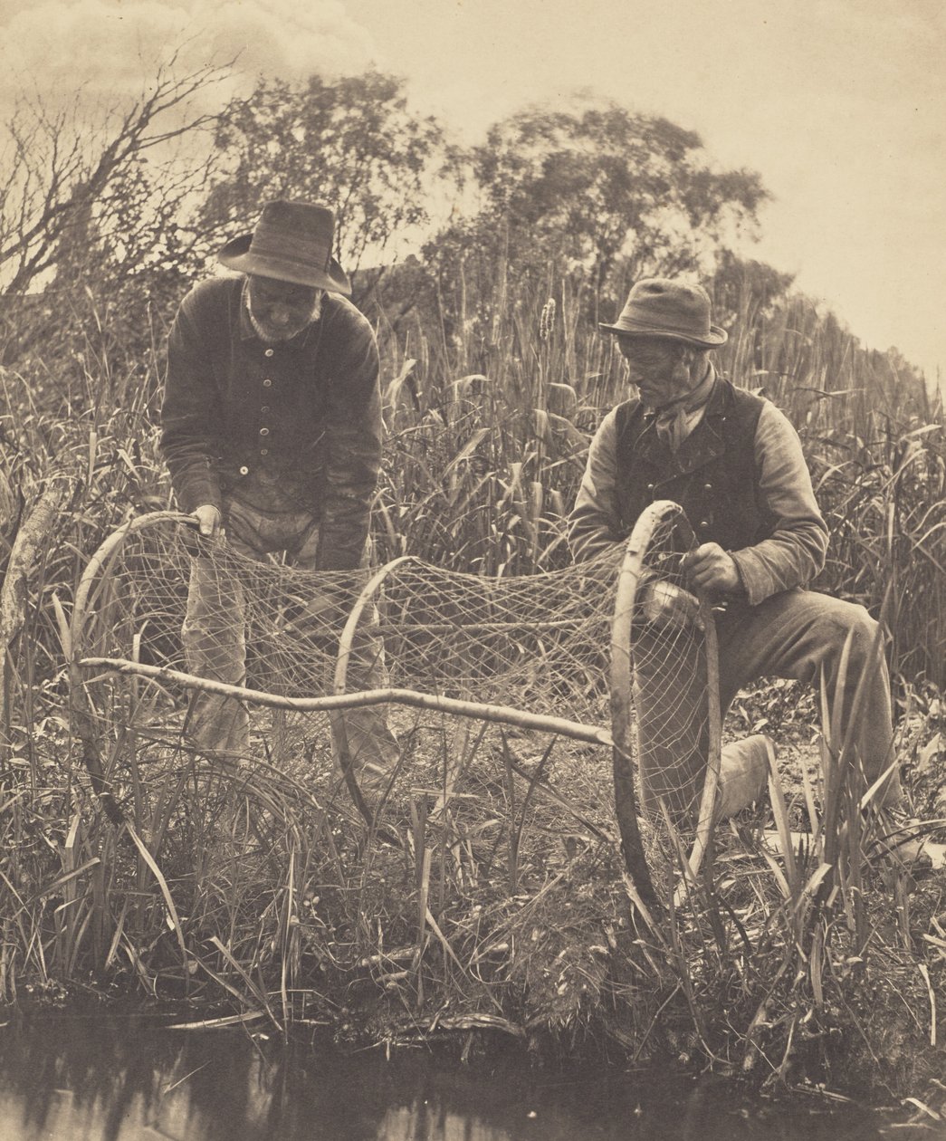 Installazione della rete ad arco da Peter Henry Emerson