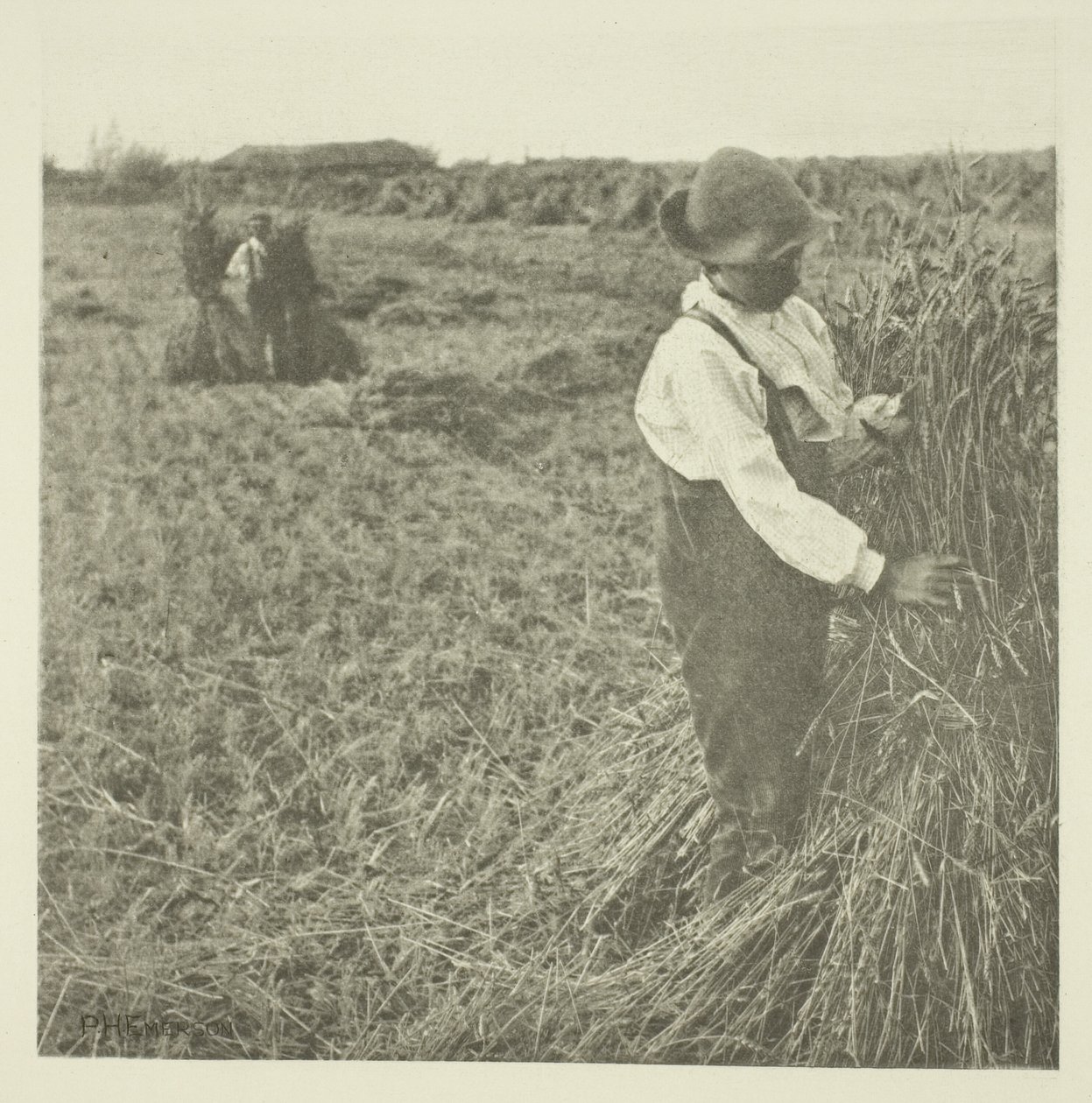 Shocking Corn (Norfolk) da Peter Henry Emerson