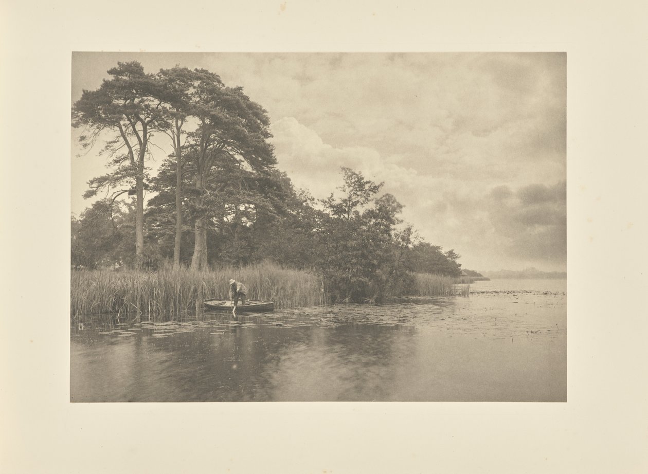 Il rifugio del luccio da Peter Henry Emerson