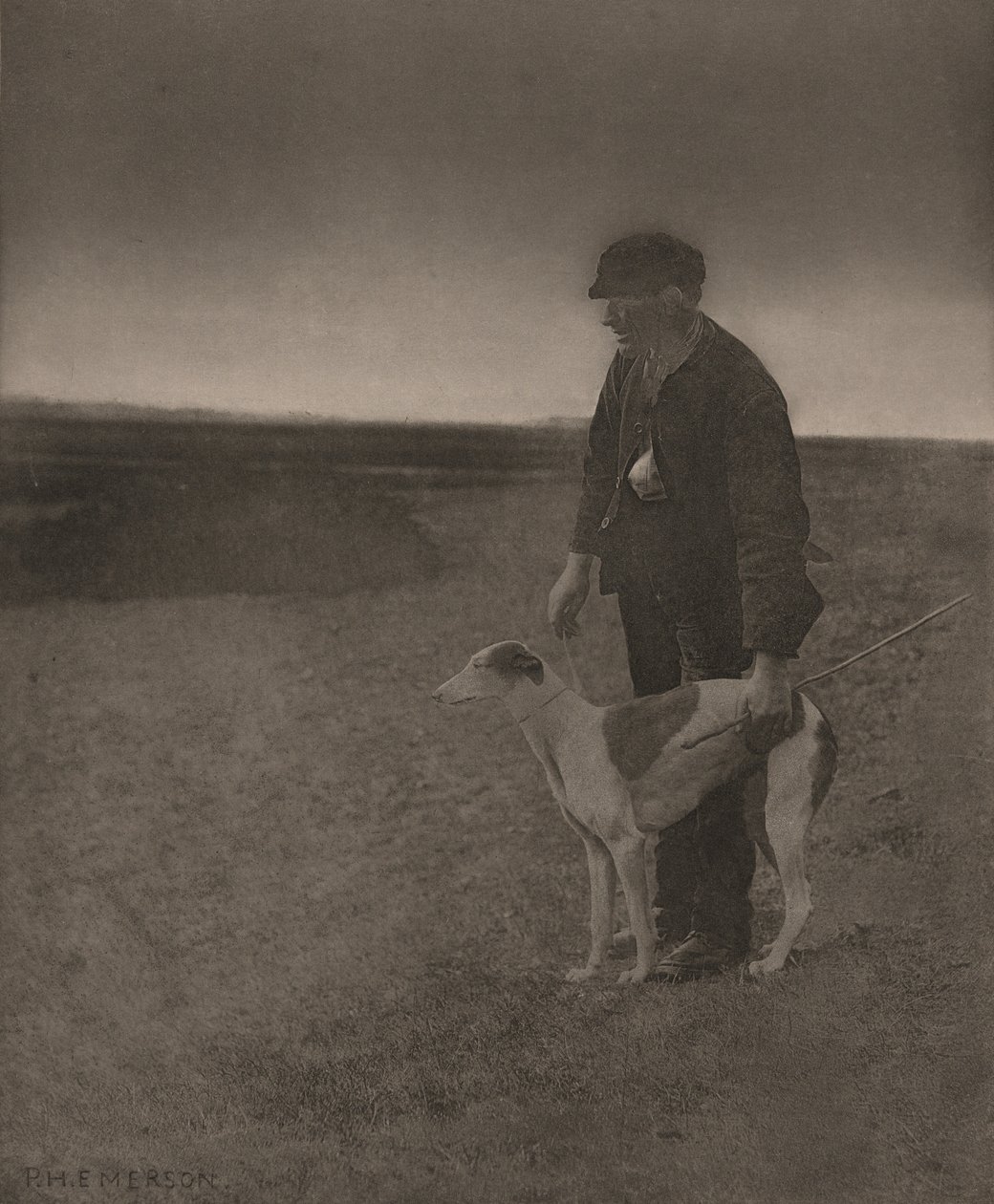 Il bracconiere - Una lepre in vista, 1888 (foto) da Peter Henry Emerson