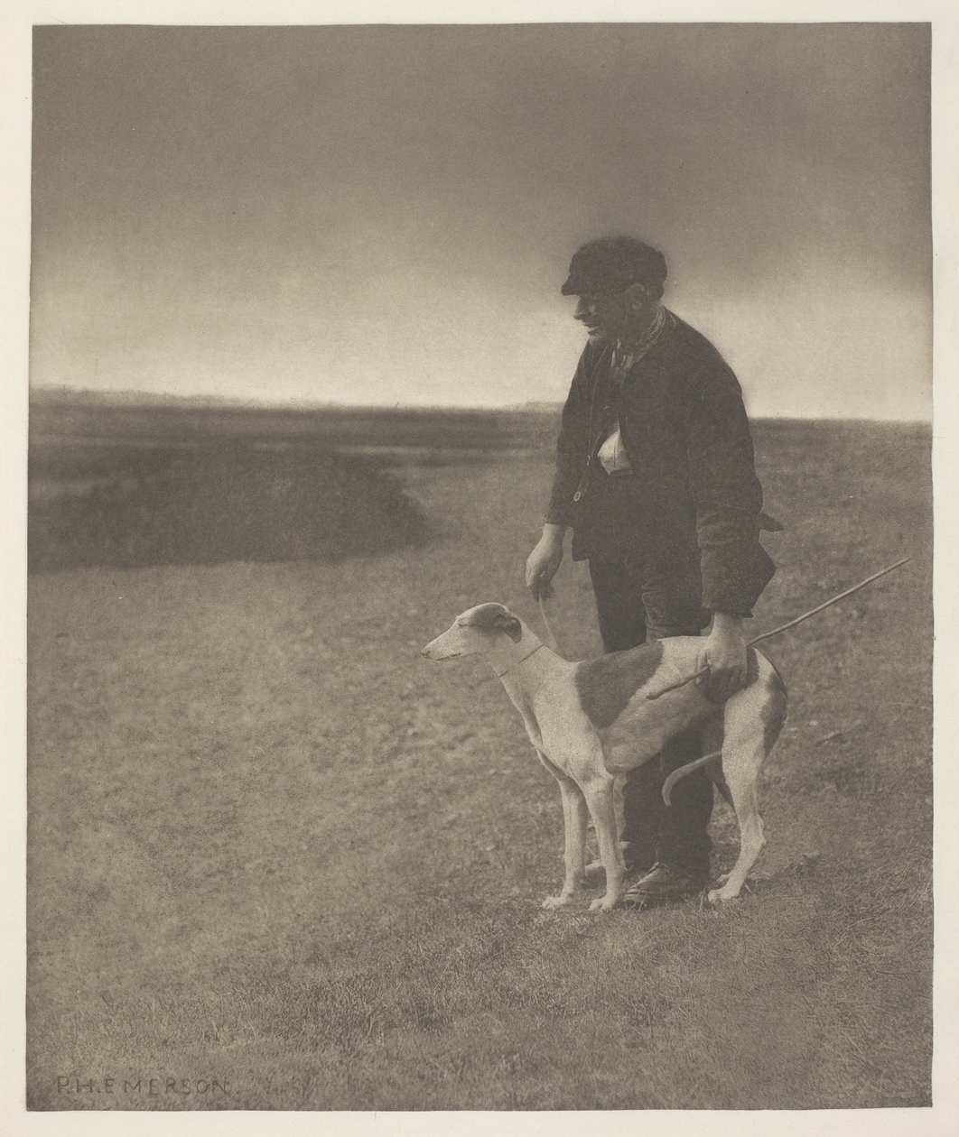 Il bracconiere - Una lepre in vista, (Suffolk) da Peter Henry Emerson