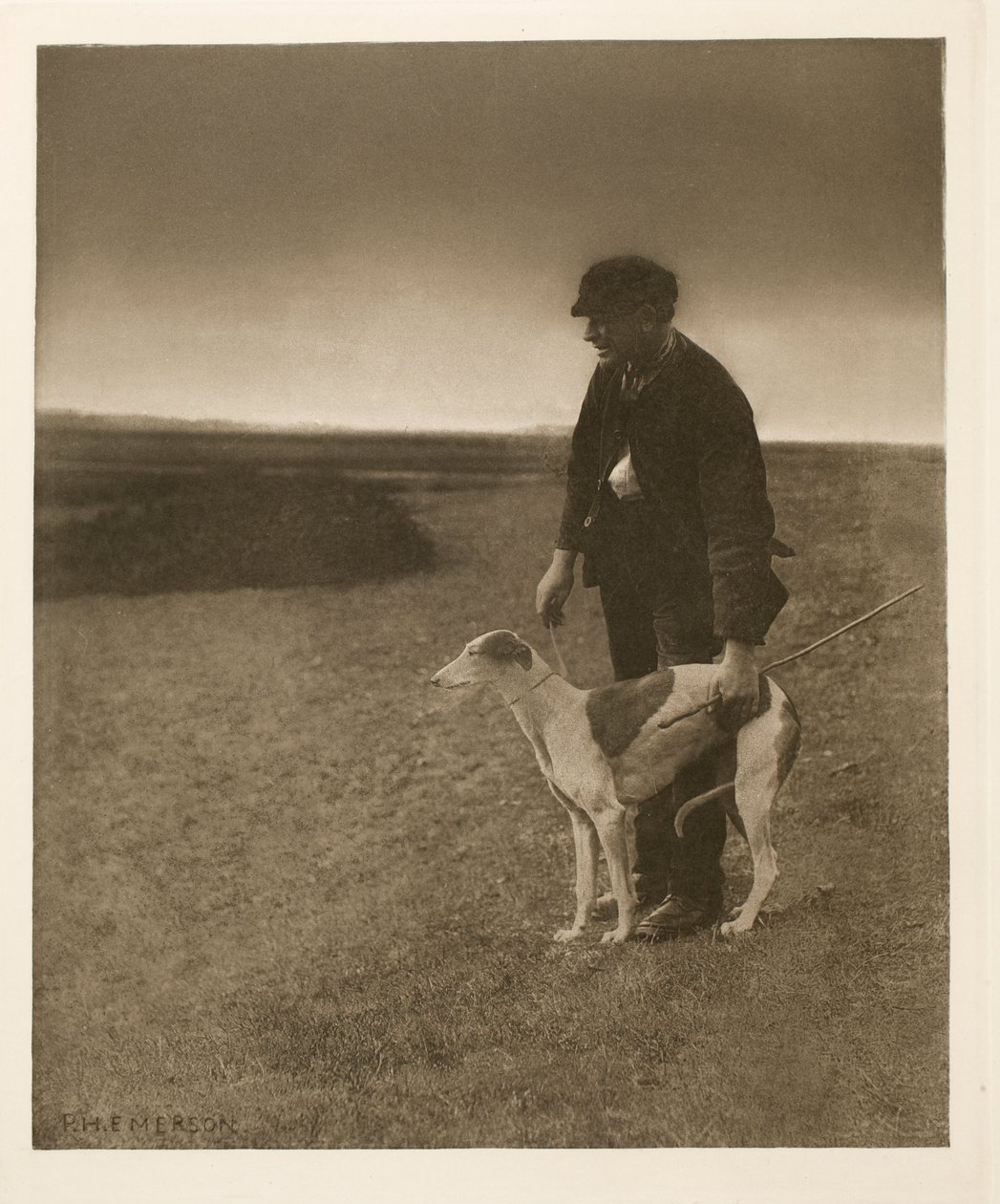 Il bracconiere - Una lepre in vista da Peter Henry Emerson