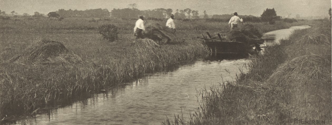 La raccolta delle carici da Peter Henry Emerson