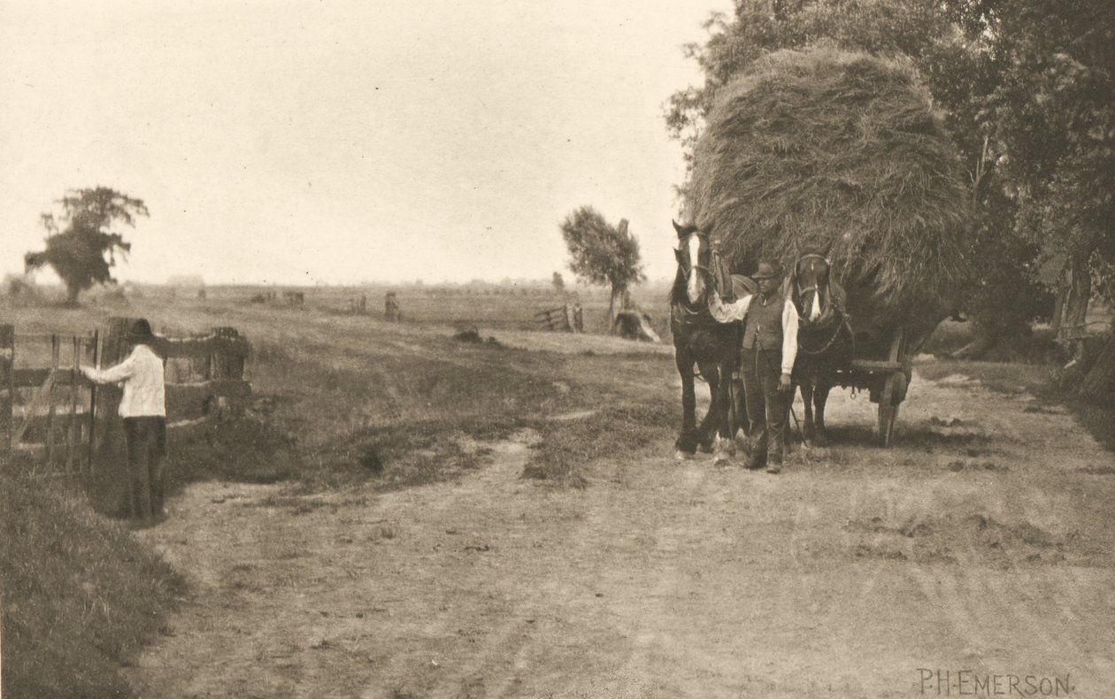 La ricchezza delle paludi da Peter Henry Emerson
