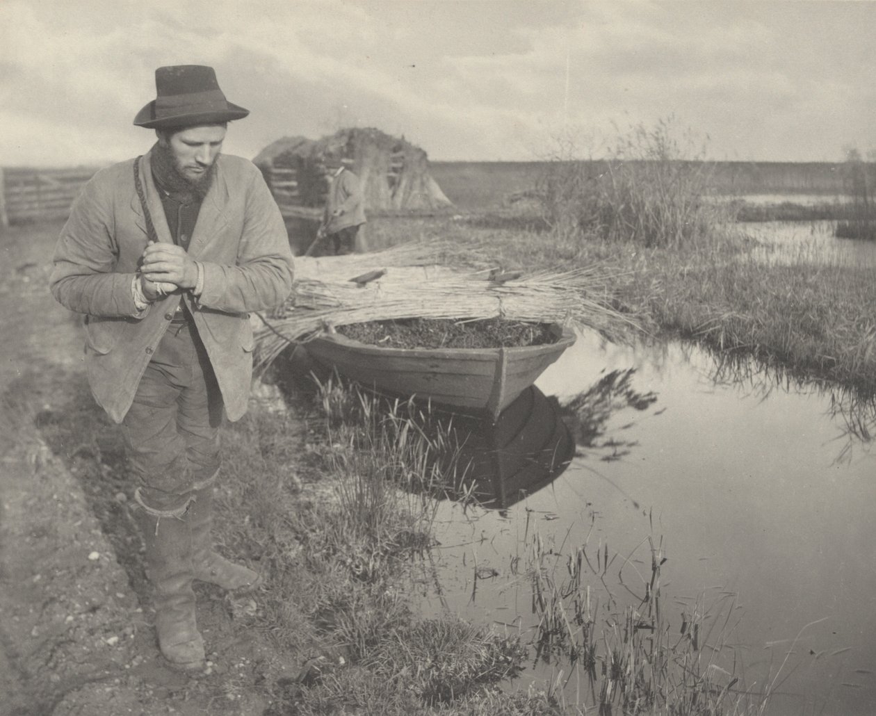 Traino della canna, 1886 (foto) da Peter Henry Emerson