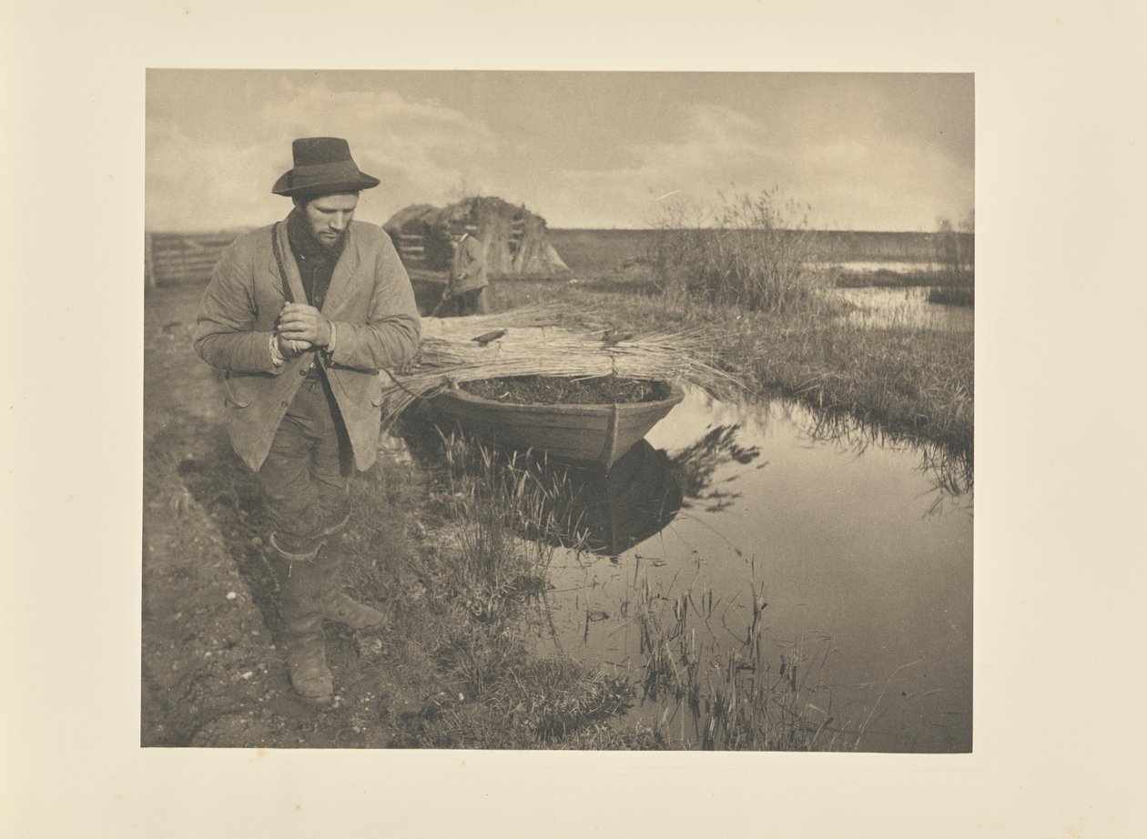 Traino delle canne da Peter Henry Emerson
