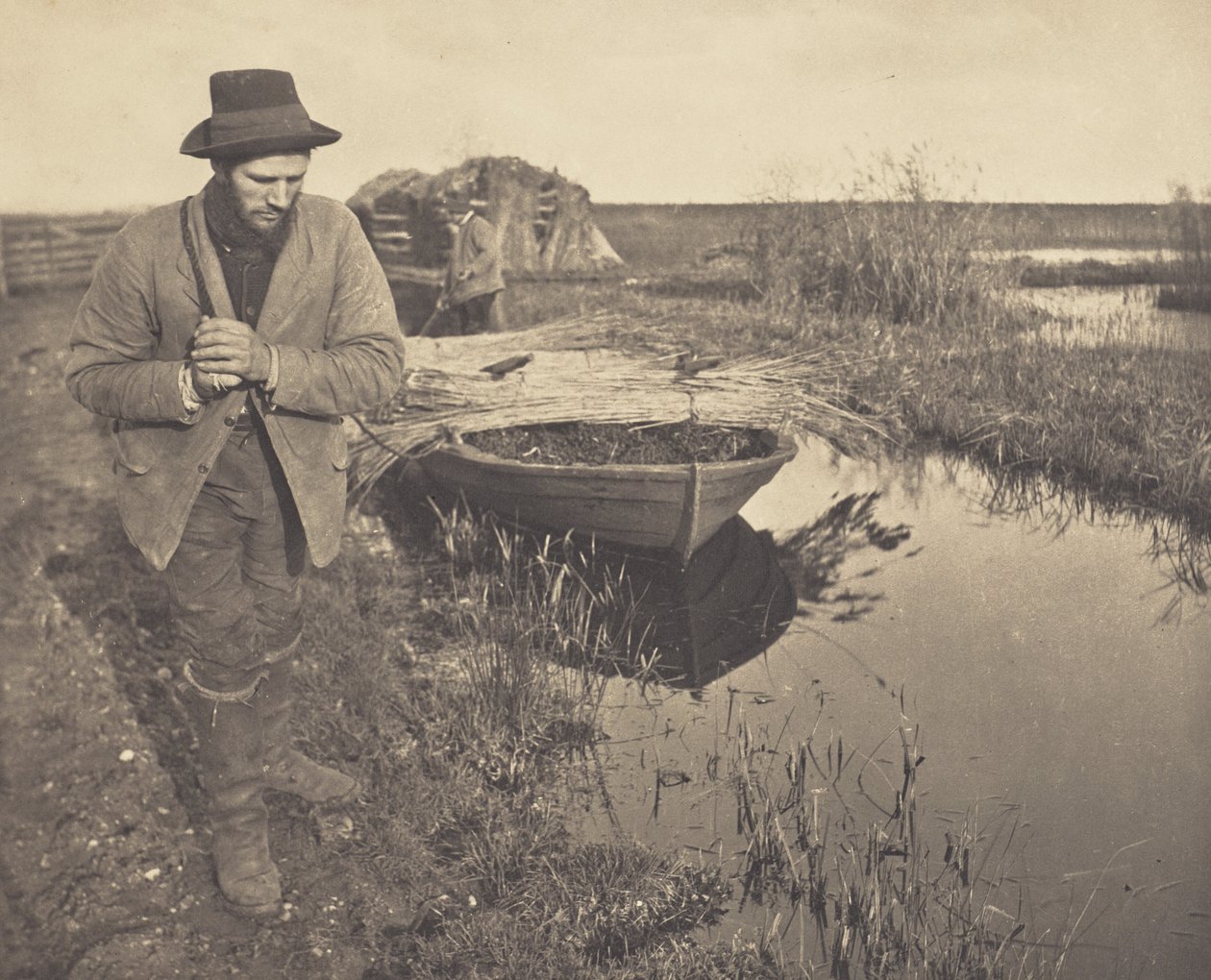 Trainare le canne da Peter Henry Emerson