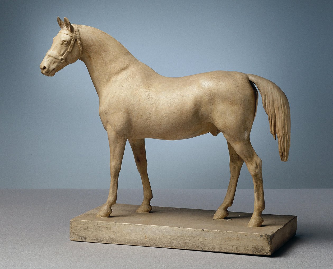 Cavallo non sellato da Peter Krafft