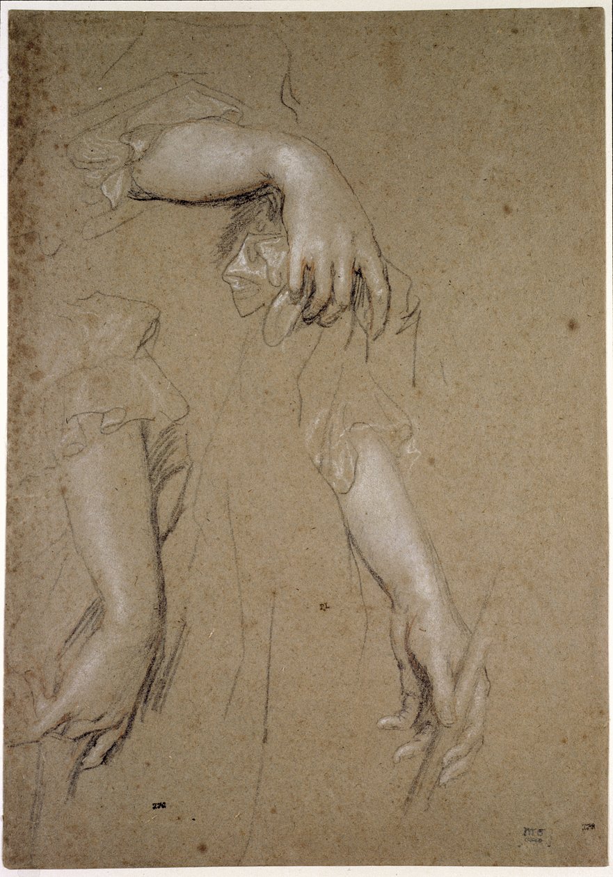 Studi di mani, XVII secolo da Peter Lely
