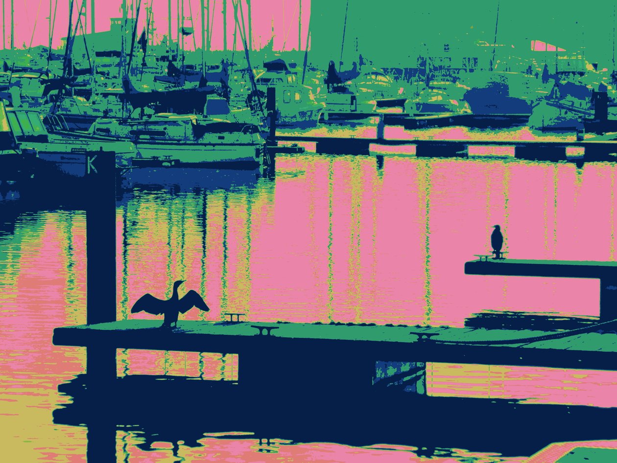 CORTEGGIAMENTO HARTLEPOOL, 2014 da Peter McClure
