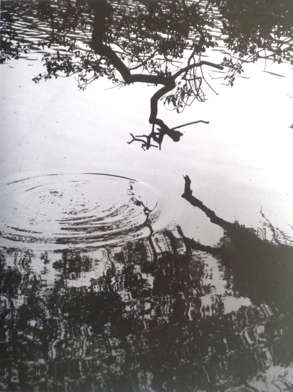 FOTO VINTAGE B&N No.5, 1986 da Peter McClure