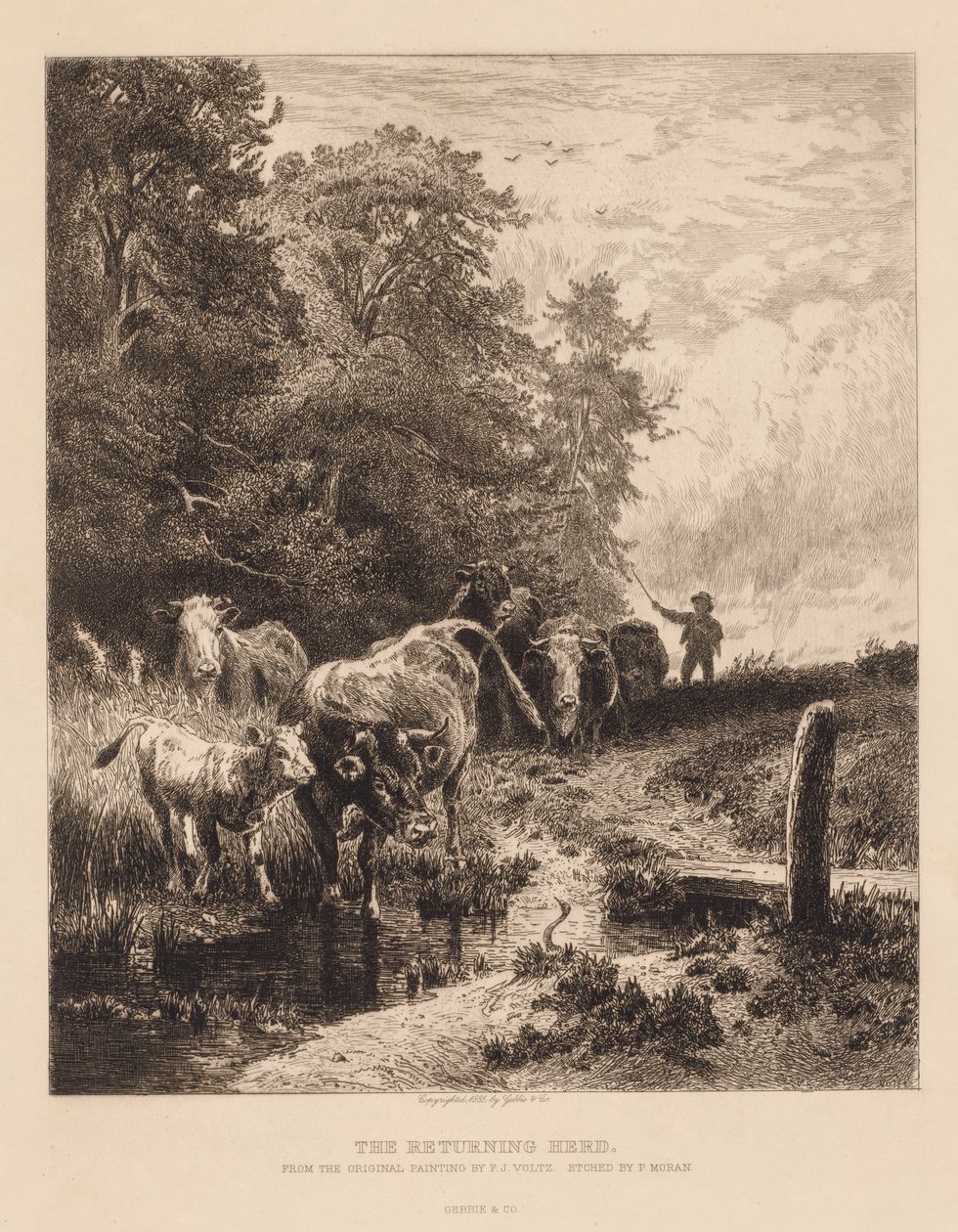 Il Ritorno del Gregge, c. 1885 da Peter Moran