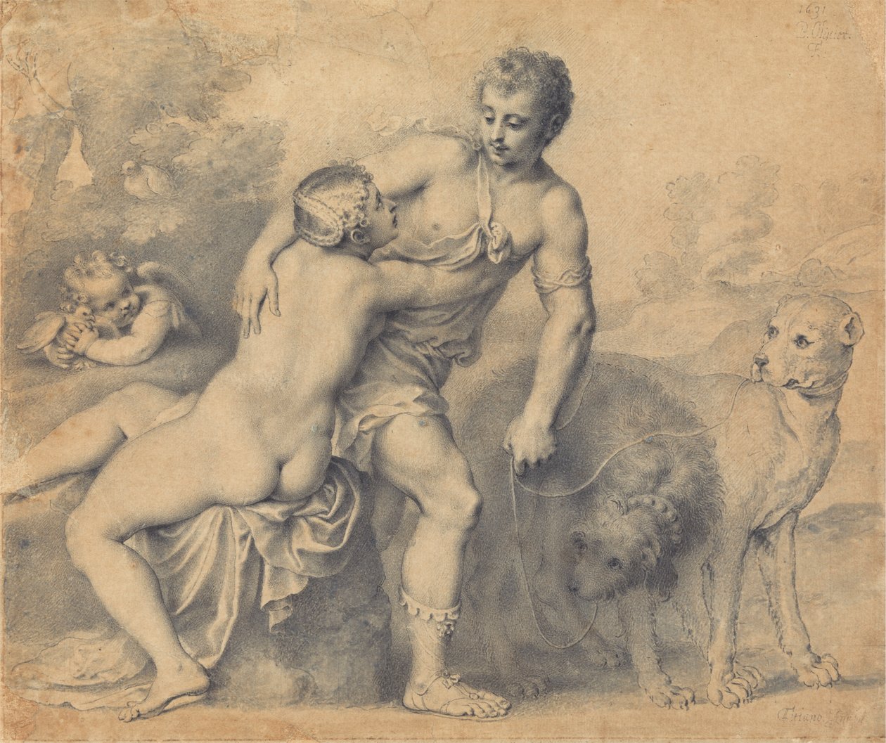 Venere e Adone da Peter Oliver